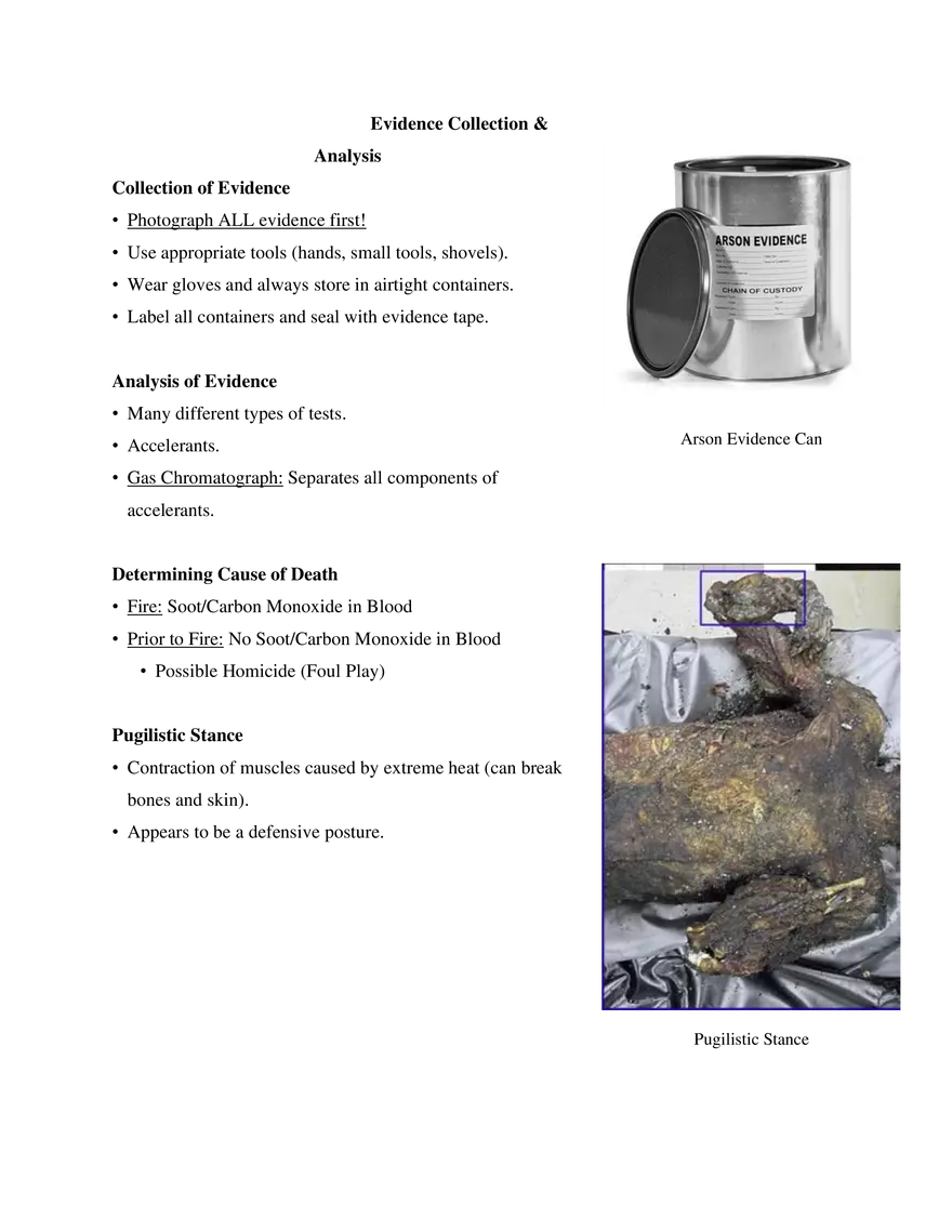 4. Fire Investigation - Page 8