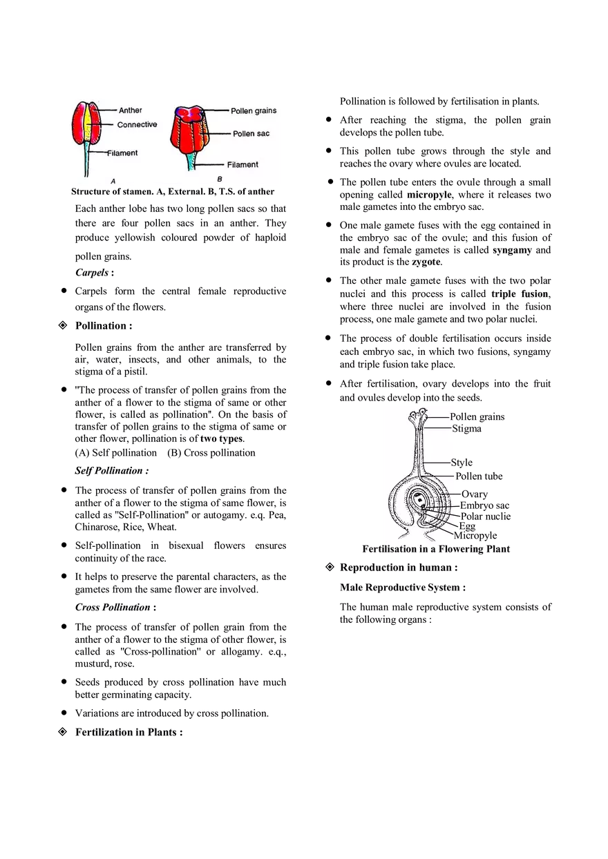 Reproduction Notes - Page 4