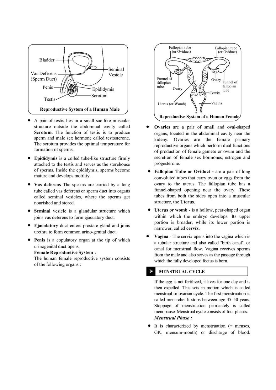 Reproduction Notes - Page 5