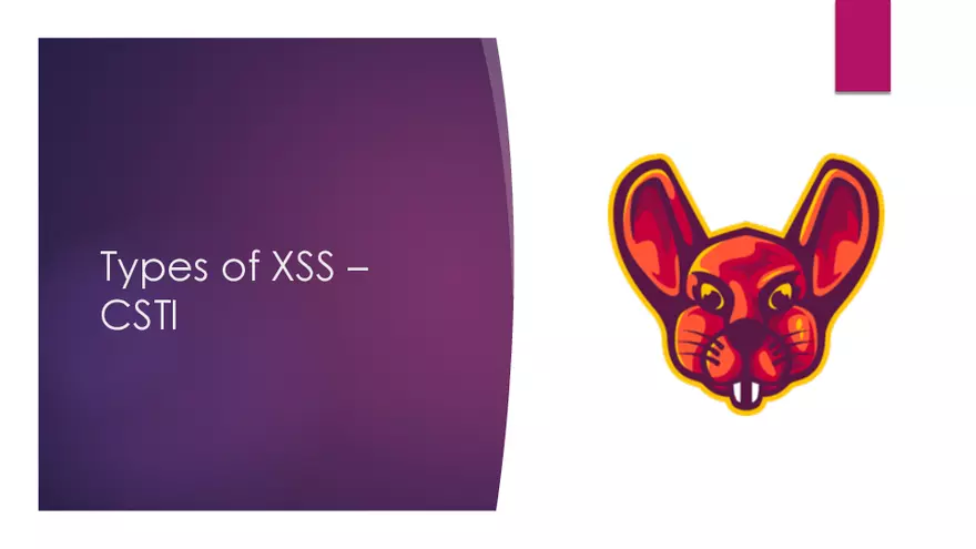 Ultimate XSS Beginner Guide - Page 19