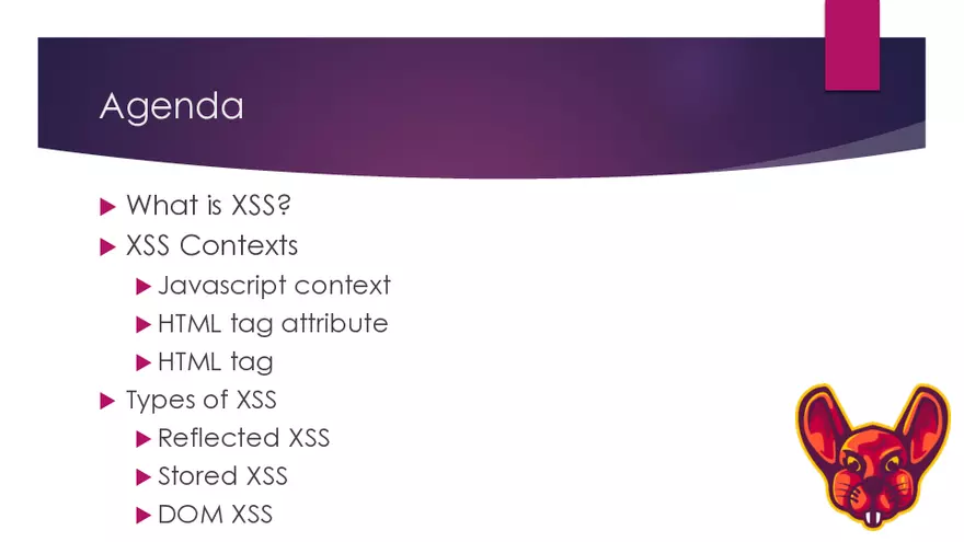 Ultimate XSS Beginner Guide - Page 2