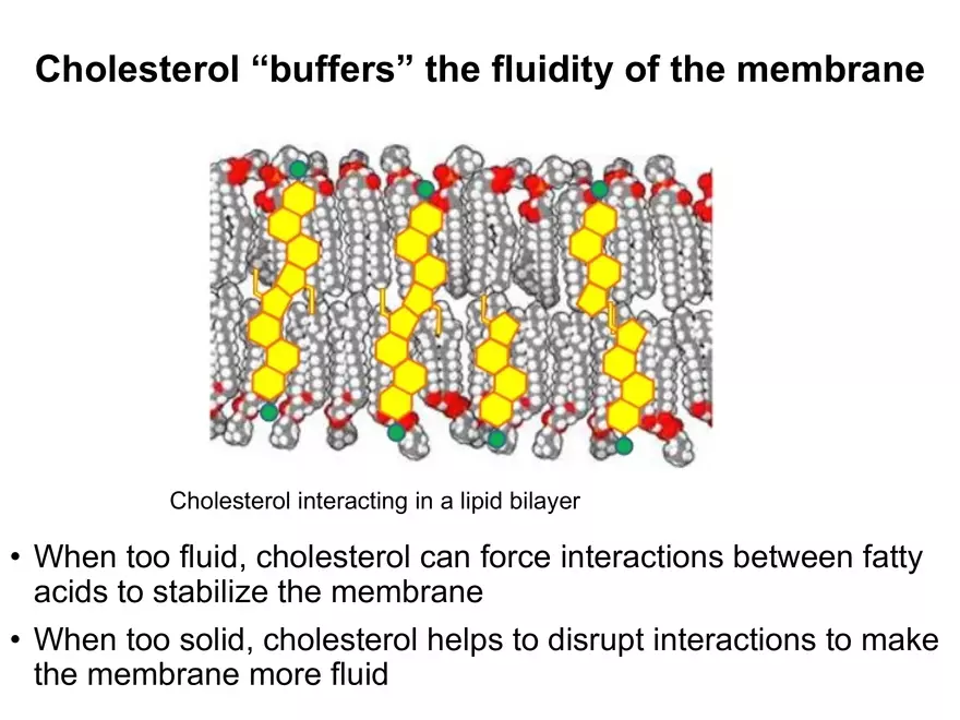 BIOL230W, Week 5 - Day 1 - Page 7