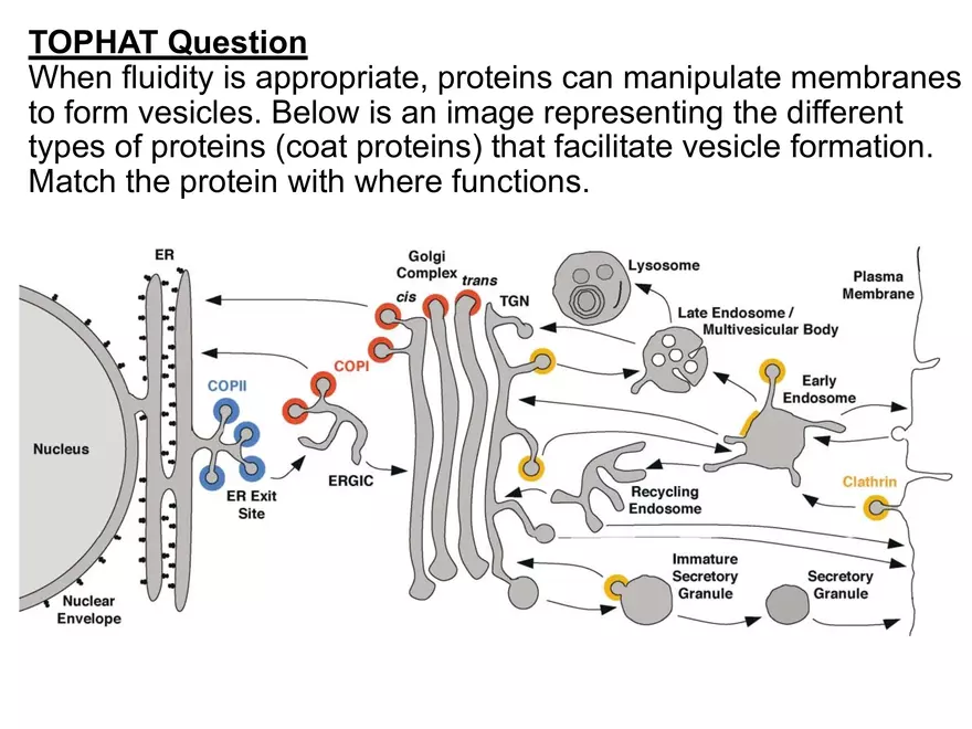 BIOL230W, Week 5 - Day 1 - Page 10