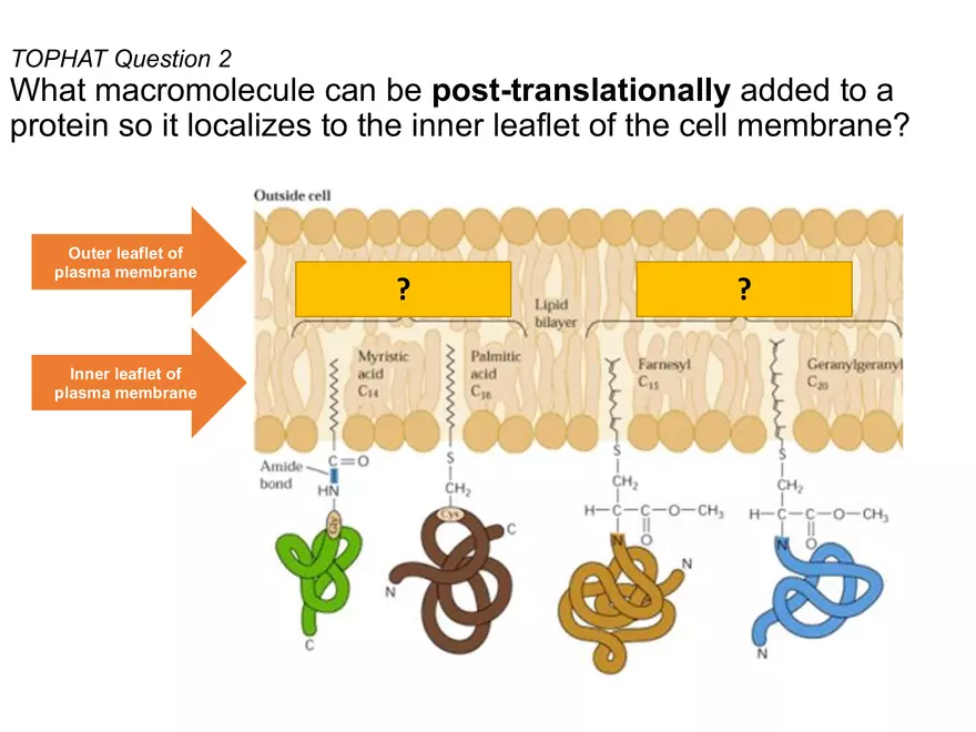 BIOL230W, Week 5 - Day 1 - Page 24