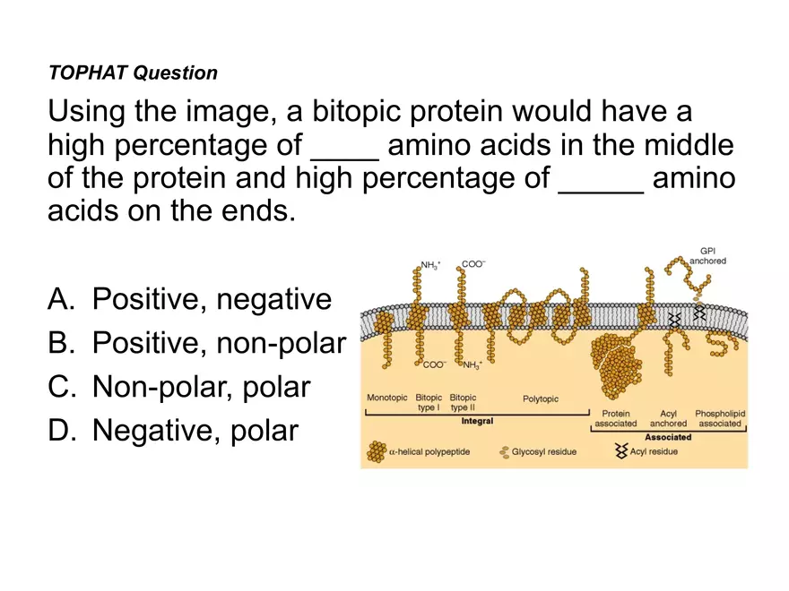 BIOL230W, Week 5 - Day 1 - Page 27