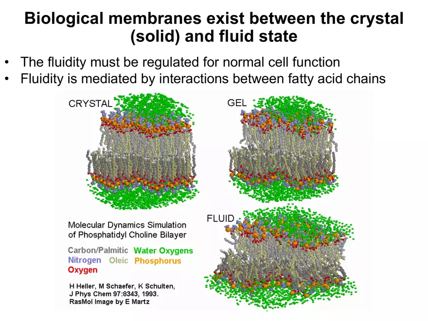 BIOL230W, Week 5 - Day 1 - Page 3