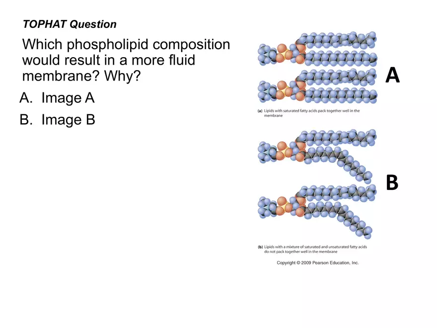 BIOL230W, Week 5 - Day 1 - Page 5