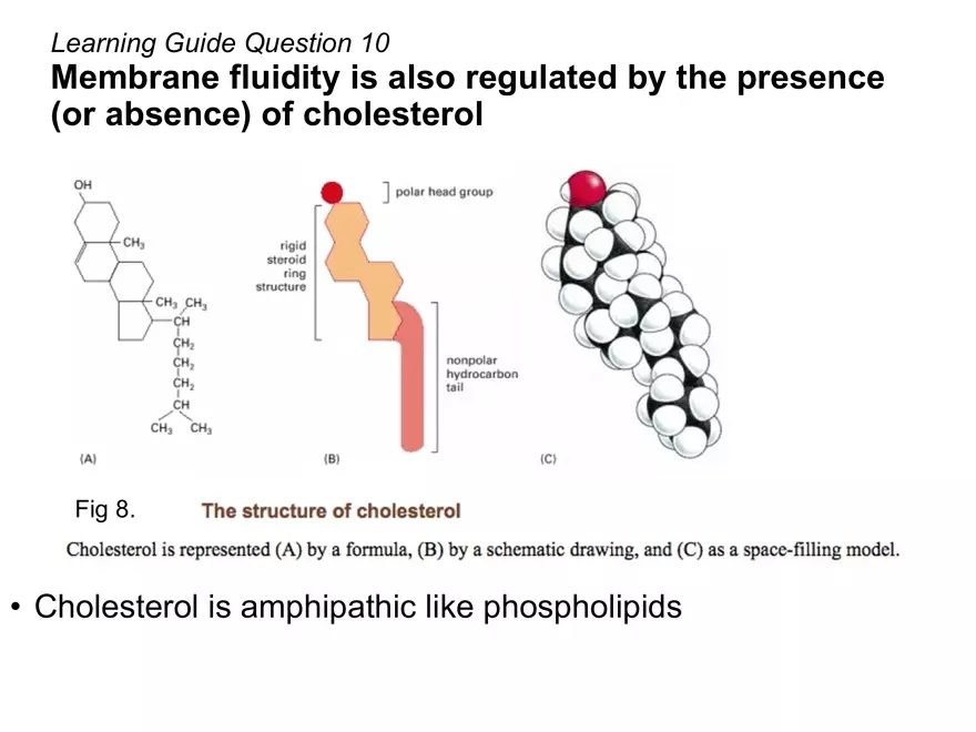 BIOL230W, Week 5 - Day 1 - Page 6