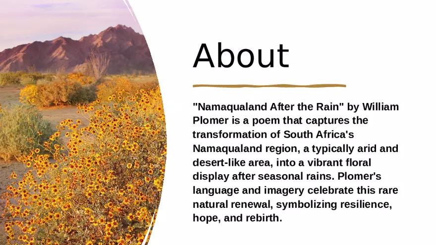 Namaqualand - After the Rain Analysis - Page 2