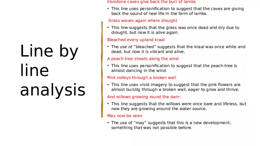 Namaqualand - After the Rain Analysis - Page 3