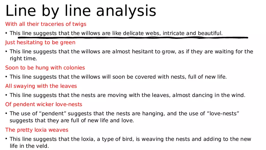 Namaqualand - After the Rain Analysis - Page 4