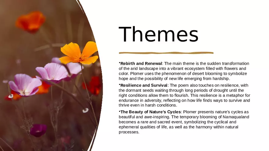 Namaqualand - After the Rain Analysis - Page 6