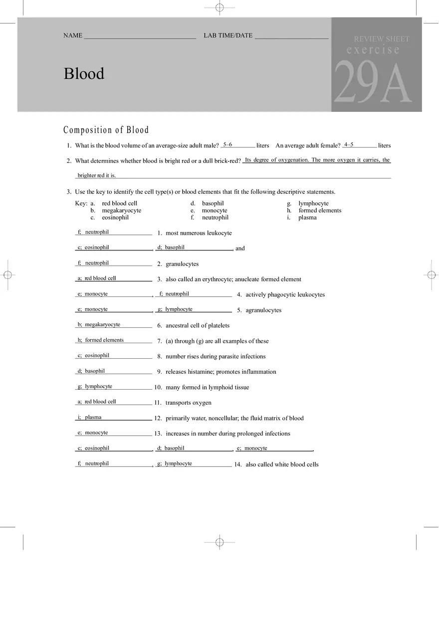 Blood Review Sheet Answers - Page 1