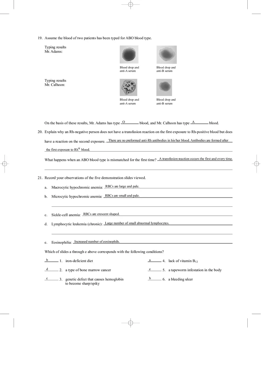 Blood Review Sheet Answers - Page 5