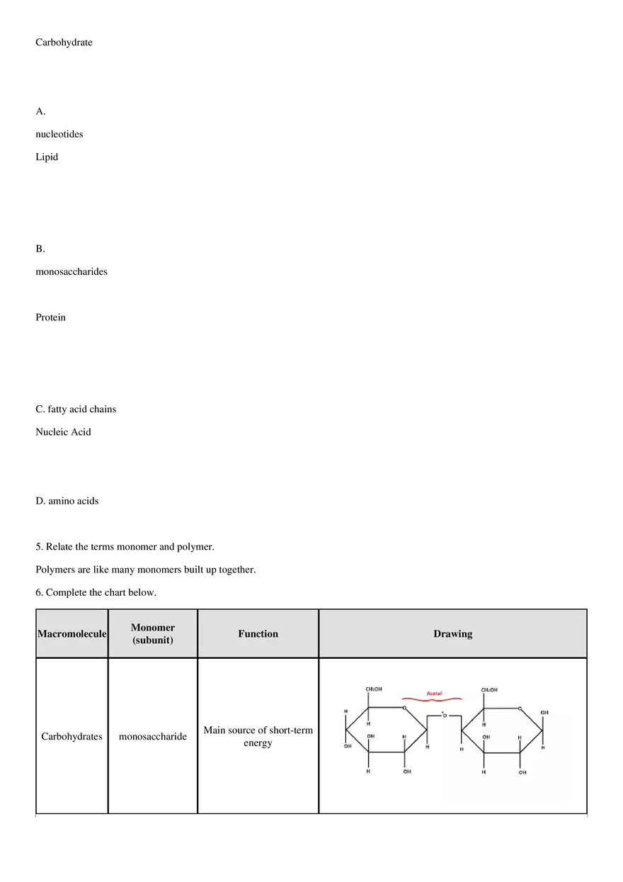 Biochemistry Test Review Sheet - Page 3