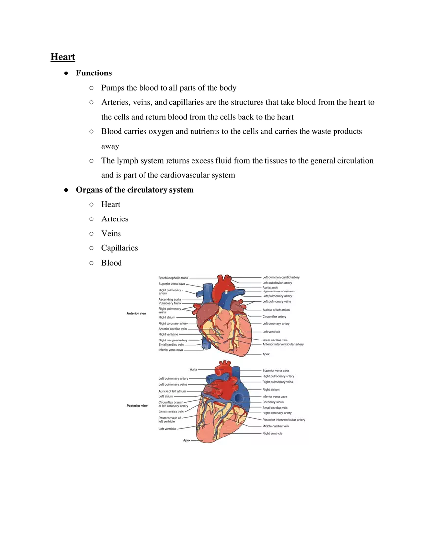 Heart Course Study Guide - Page 1