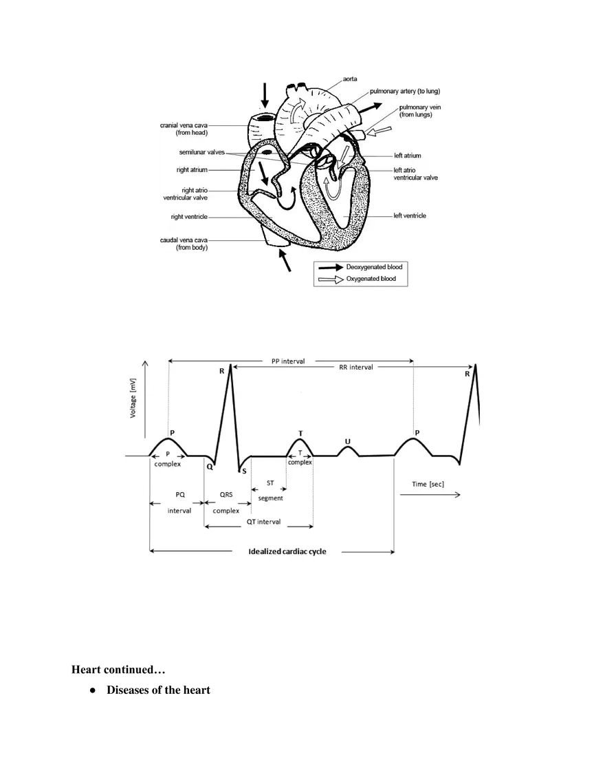 Heart Course Study Guide - Page 2