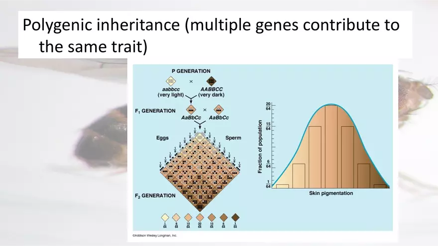 Mendelian Genetics Open Stax - Page 9