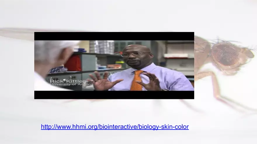 Mendelian Genetics Open Stax - Page 11