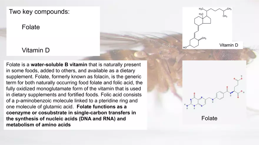 Mendelian Genetics Open Stax - Page 12