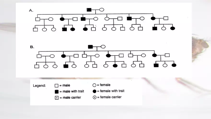 Mendelian Genetics Open Stax - Page 21