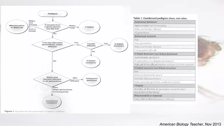 Mendelian Genetics Open Stax - Page 26