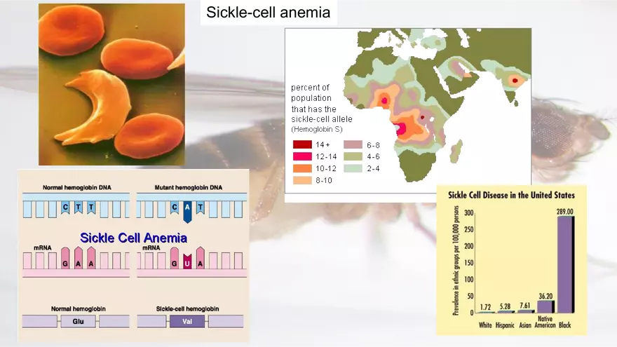 Mendelian Genetics Open Stax - Page 28