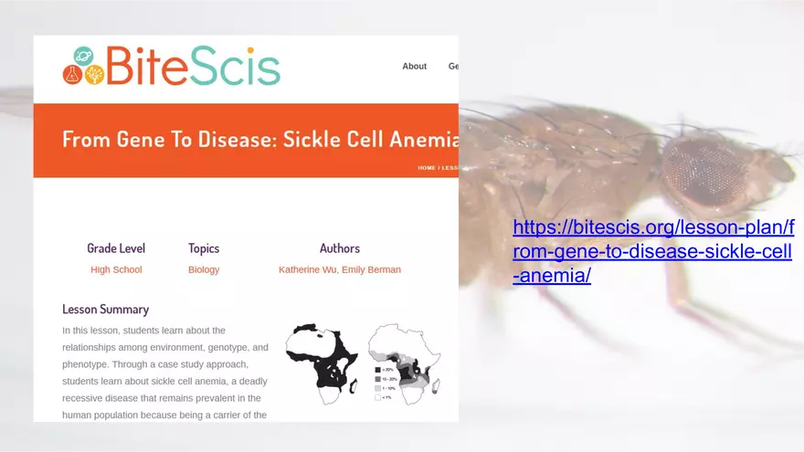 Mendelian Genetics Open Stax - Page 29