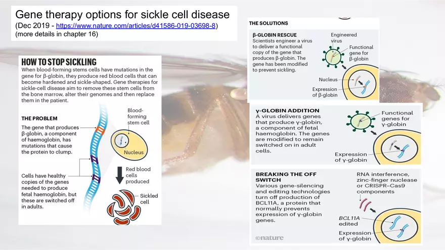 Mendelian Genetics Open Stax - Page 30