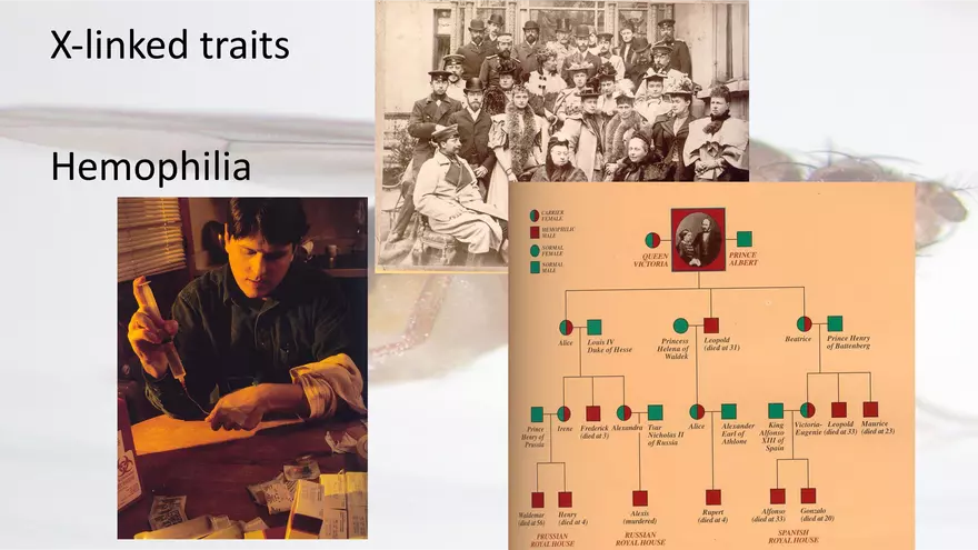 Mendelian Genetics Open Stax - Page 34