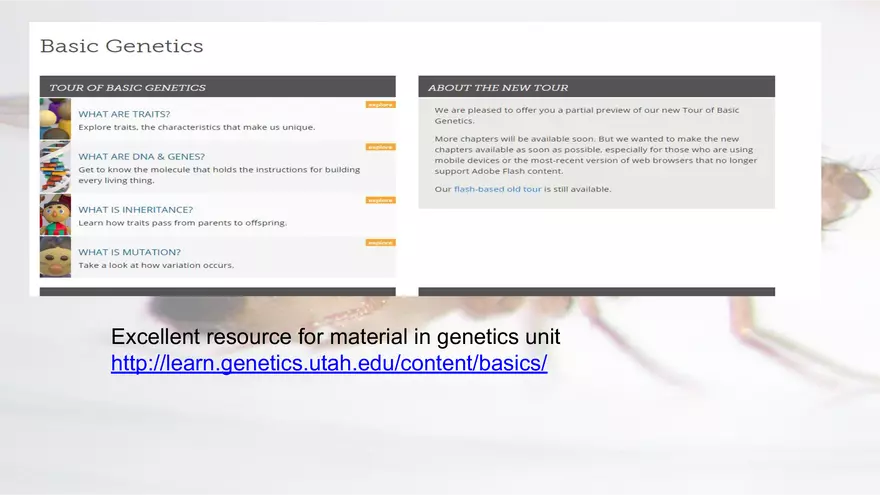 Mendelian Genetics Open Stax - Page 35