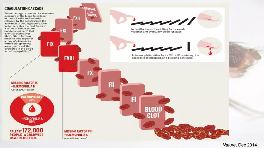 Mendelian Genetics Open Stax - Page 36