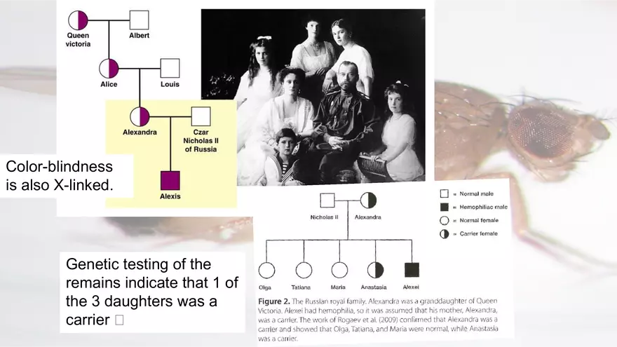 Mendelian Genetics Open Stax - Page 38