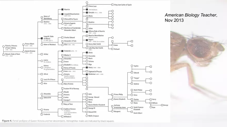 Mendelian Genetics Open Stax - Page 39