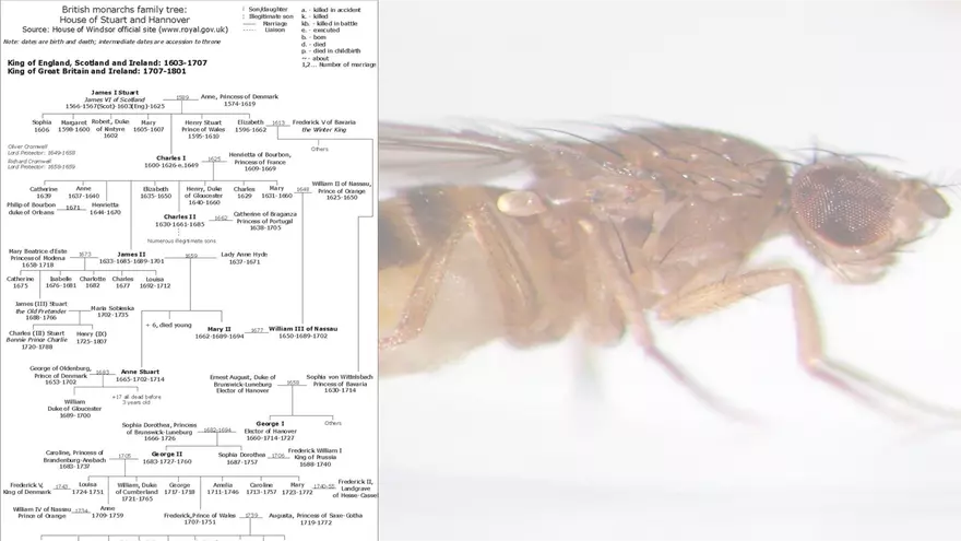 Mendelian Genetics Open Stax - Page 41