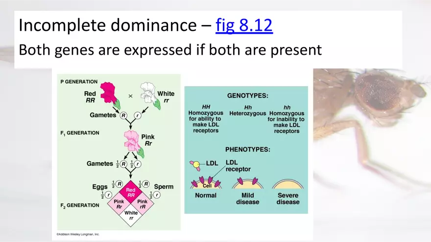 Mendelian Genetics Open Stax - Page 42