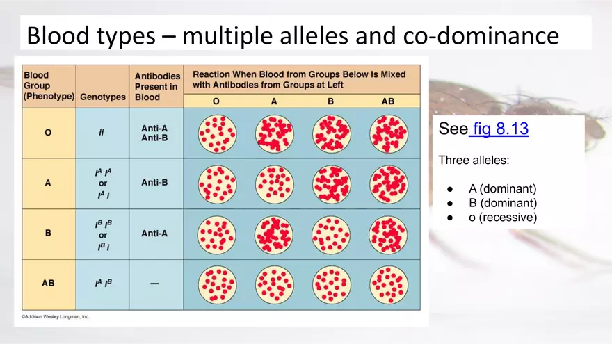 Mendelian Genetics Open Stax - Page 44