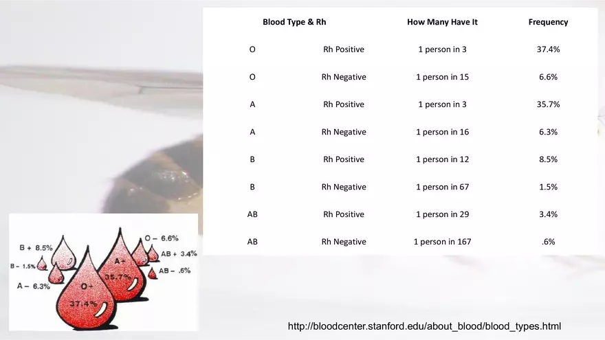 Mendelian Genetics Open Stax - Page 45