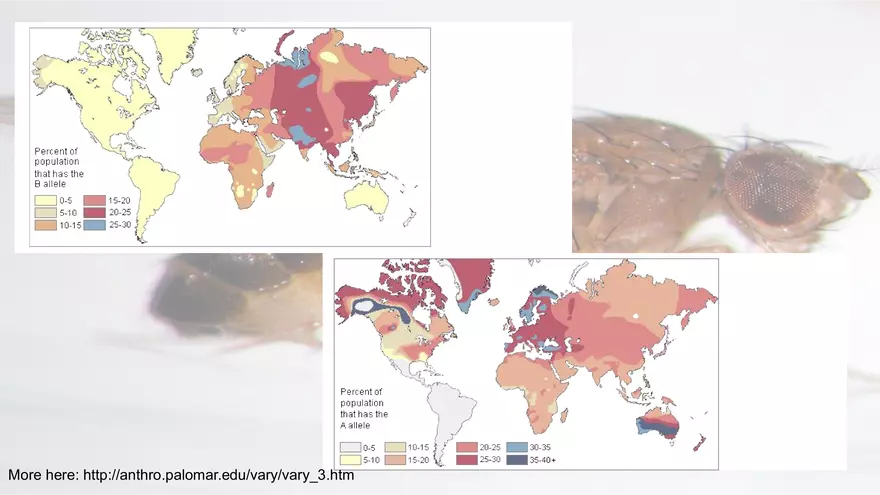 Mendelian Genetics Open Stax - Page 47