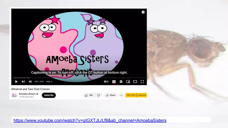 Mendelian Genetics Open Stax - Page 51