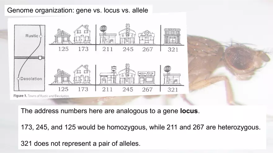 Mendelian Genetics Open Stax - Page 58