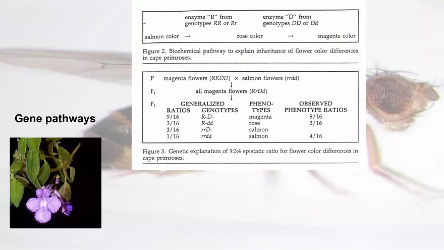 Mendelian Genetics Open Stax - Page 61