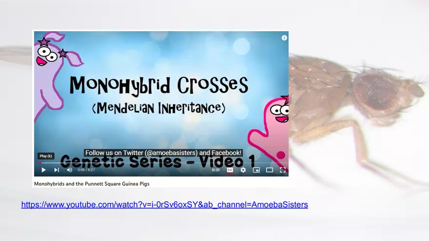 Mendelian Genetics Open Stax - Page 4
