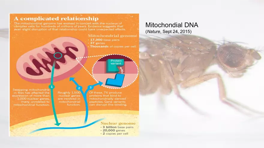 Mendelian Genetics Open Stax - Page 71