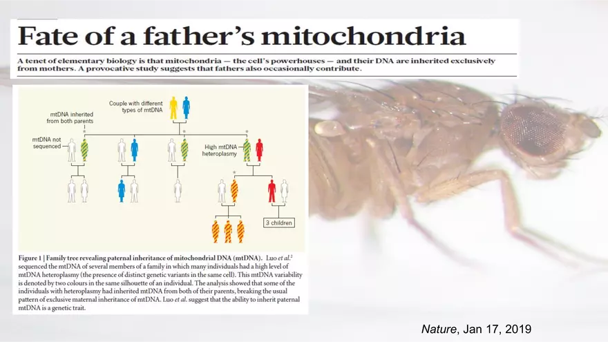 Mendelian Genetics Open Stax - Page 72