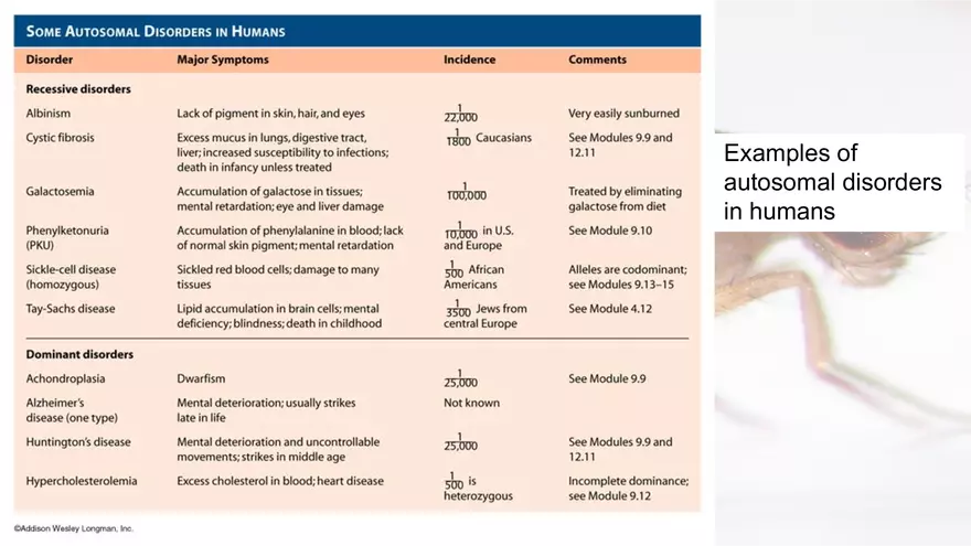 Mendelian Genetics Open Stax - Page 6