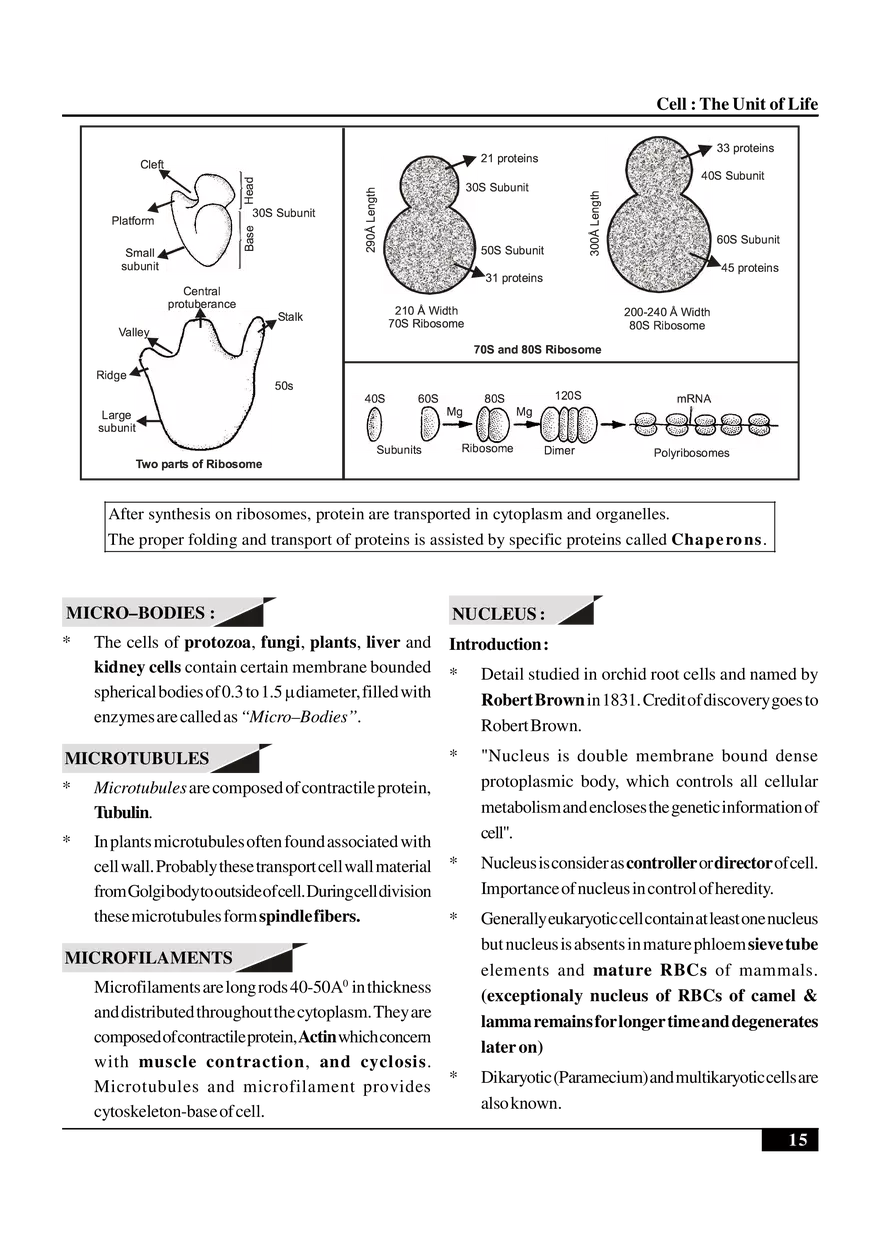 Cell  The Unit of Life - Page 7