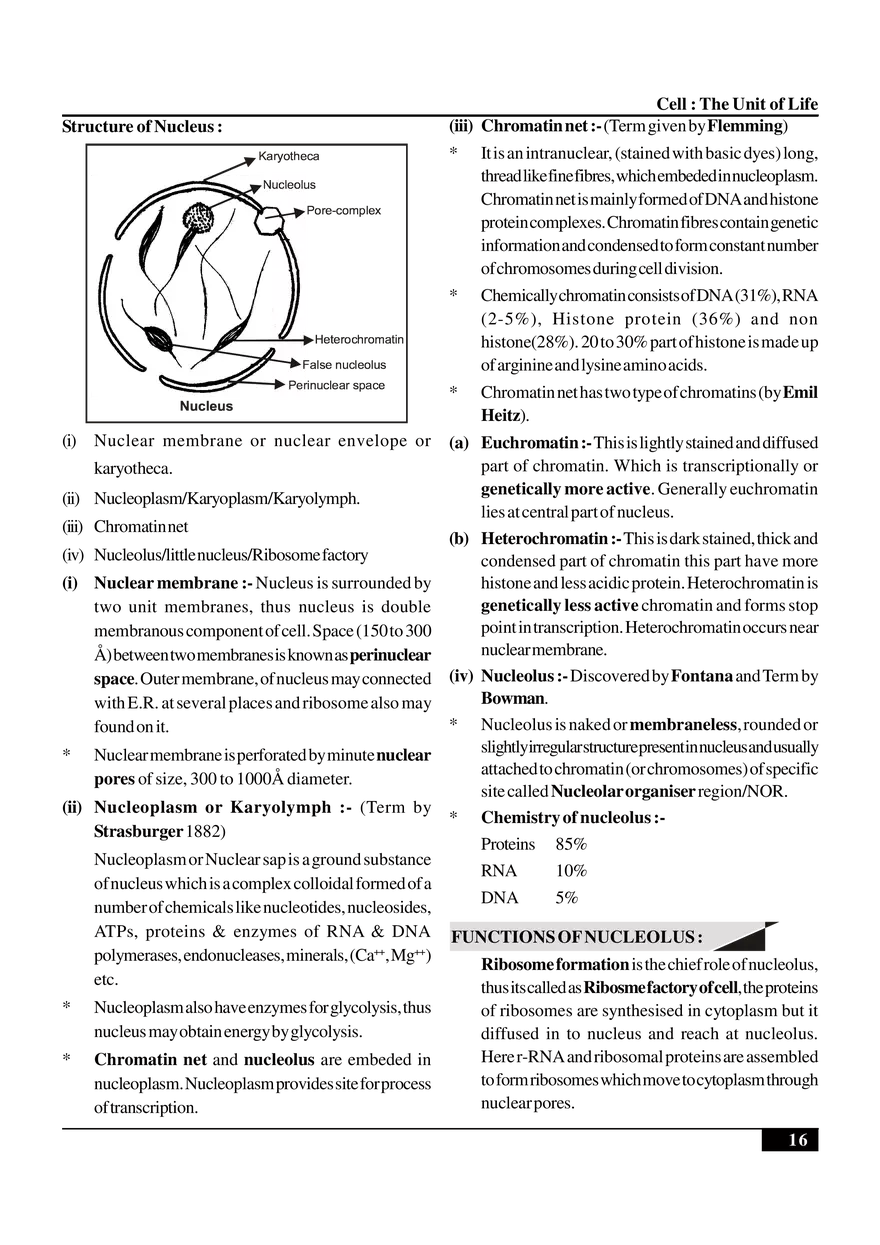 Cell  The Unit of Life - Page 8