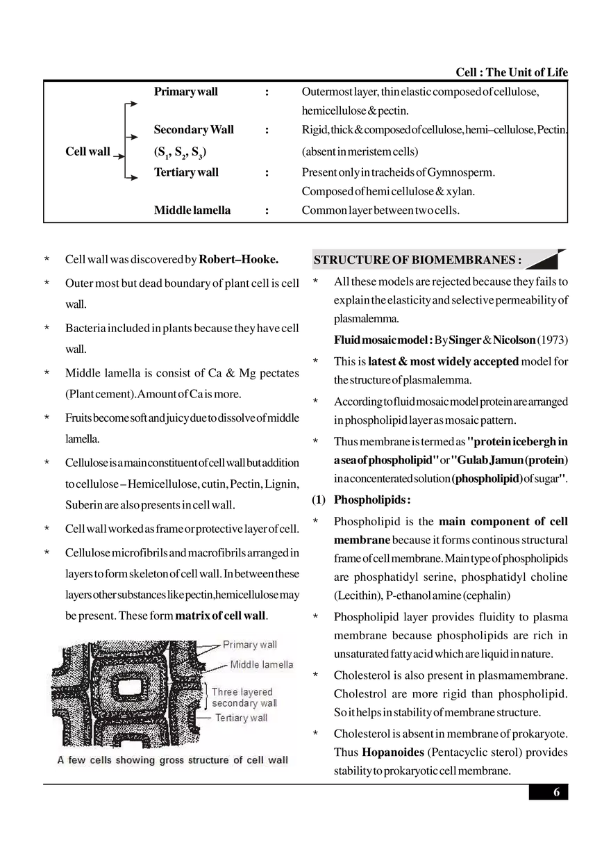 Cell  The Unit of Life - Page 16