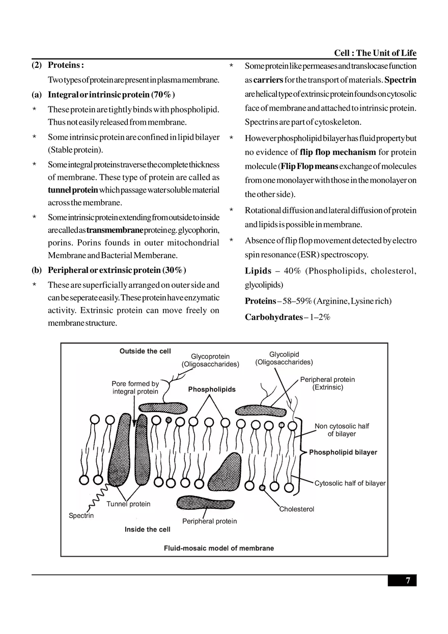 Cell  The Unit of Life - Page 17